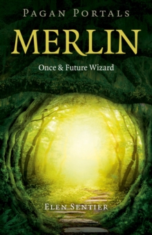 Image for Merlin  : once and future wizard