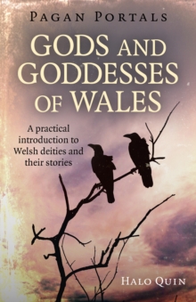 Pagan Portals – Gods and Goddesses of Wales: A practical introduction to Welsh deities and their stories