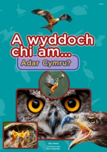 Image for Cyfres a Wyddoch chi: A Wyddoch Chi am Adar Cymru?