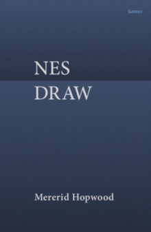 Image for Nes Draw