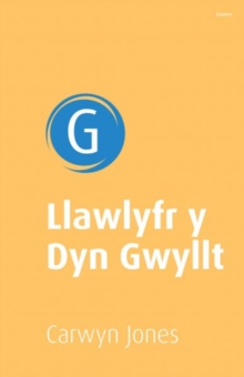 Image for Llawlyfr y Dyn Gwyllt