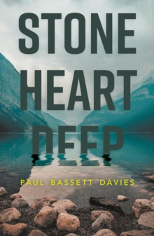 Image for Stone heart deep