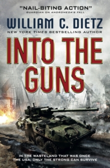 Image for Into the Guns