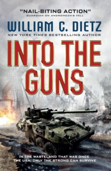 Image for Into the guns