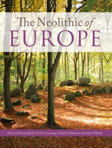 Image for The neolithic of Europe: papers in honour of Alasdair Whittle