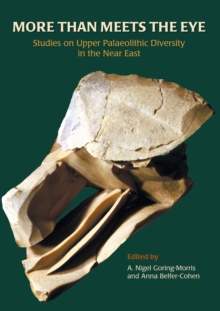 Image for More than meets the eye: studies on upper Palaeolithic diversity in the Near East