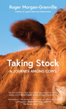 Taking Stock: A Journey Among Cows