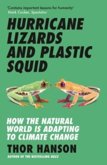 Image for Hurricane Lizards and Plastic Squid