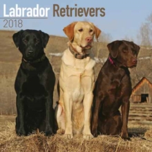 Image for Labrador Retrievers Calendar 2018
