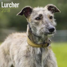 Image for Lurcher Calendar 2018