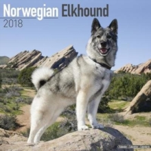 Image for Norwegian Elkhound Calendar 2018