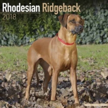 Image for Rhodesian Ridgeback Calendar 2018