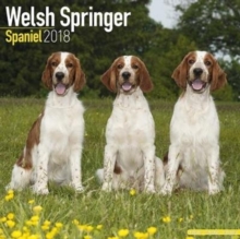 Image for Welsh Springer Spaniel Calendar 2018