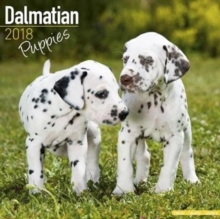 Image for Dalmatian Puppies Calendar 2018