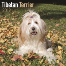 Image for Tibetan Terrier Calendar 2019