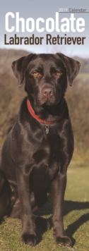 Image for Chocolate Labrador Retriever Slim Calendar 2019