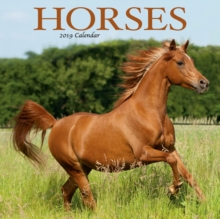 Image for Horses M 2019