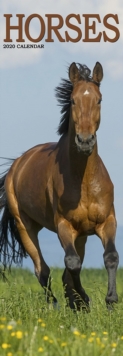 Image for HORSES SLIM2020