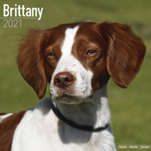 Image for Brittany 2021 Wall Calendar
