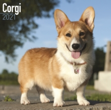 Image for Corgi 2021 Wall Calendar