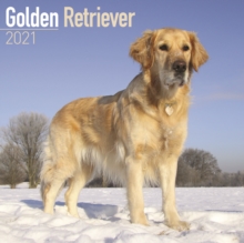 Image for Golden Retriever 2021 Wall Calendar