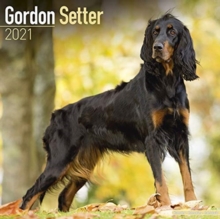 Image for Gordon Setter 2021 Wall Calendar