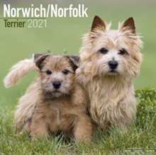 Image for Norwich Norfolk Terrier 2021 Wall Calendar