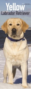 Image for Yellow Labrador Retriever 2021 Slim Calendar