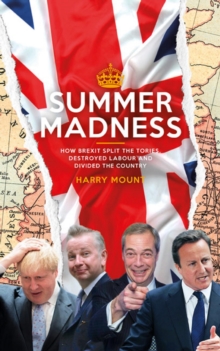 Image for Summer madness: how Brexit split the Tories, destroyed Labour and divided the country