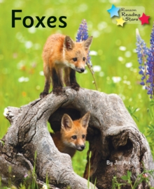 Image for Foxes