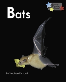 Image for Bats.