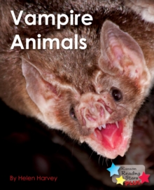 Image for Vampire Animals