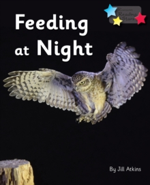 Image for Feeding at Night