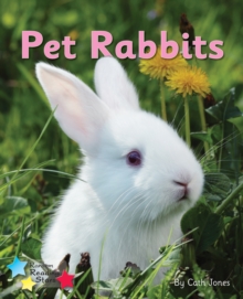 Image for Pet Rabbits