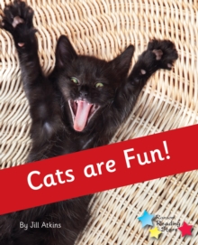 Cats are Fun!: Phonics Phase 4