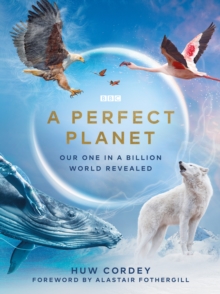Image for A Perfect Planet