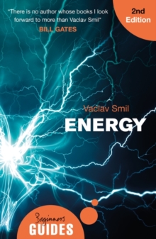 Image for Energy  : a beginner's guide