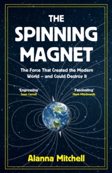 Image for The spinning magnet: the force that created the modern world - and could destroy it