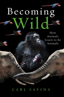 Image for Becoming wild : how animals learn to be animals