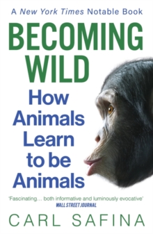 Image for Becoming wild  : how animals learn to be animals