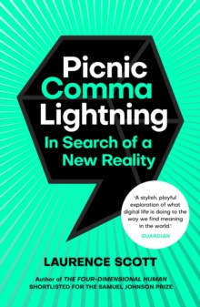 Image for Picnic comma lightning  : in search of the new reality