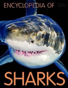 Image for Encyclopedia of Sharks