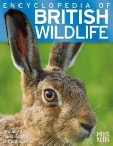 Image for Encyclopedia of British Wildlife