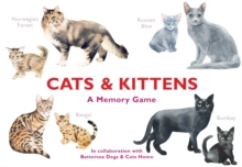 Image for Cats & Kittens