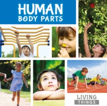 Image for Human body parts