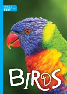 Image for Birds