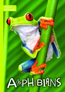 Image for Amphibians