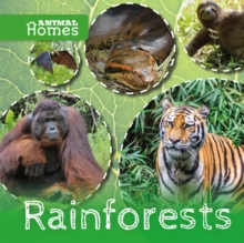 Image for Rainforests