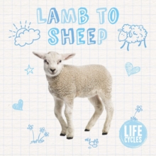 Image for Lamb to sheep