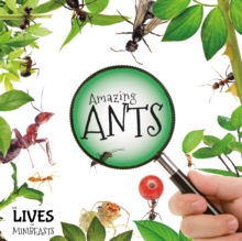 Image for Amazing ants